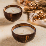 Coconut Shell Candle