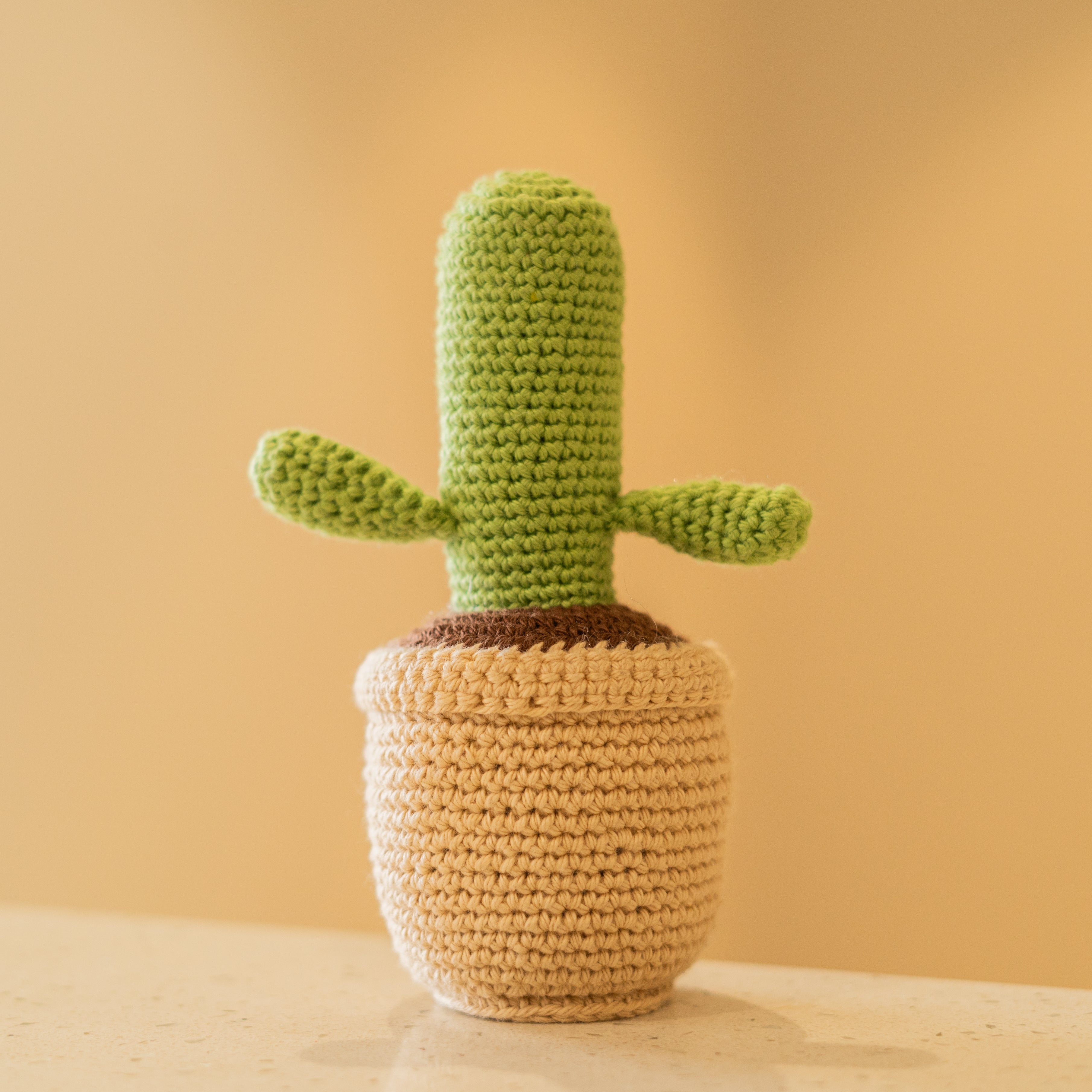 Crochet Cactus Pot