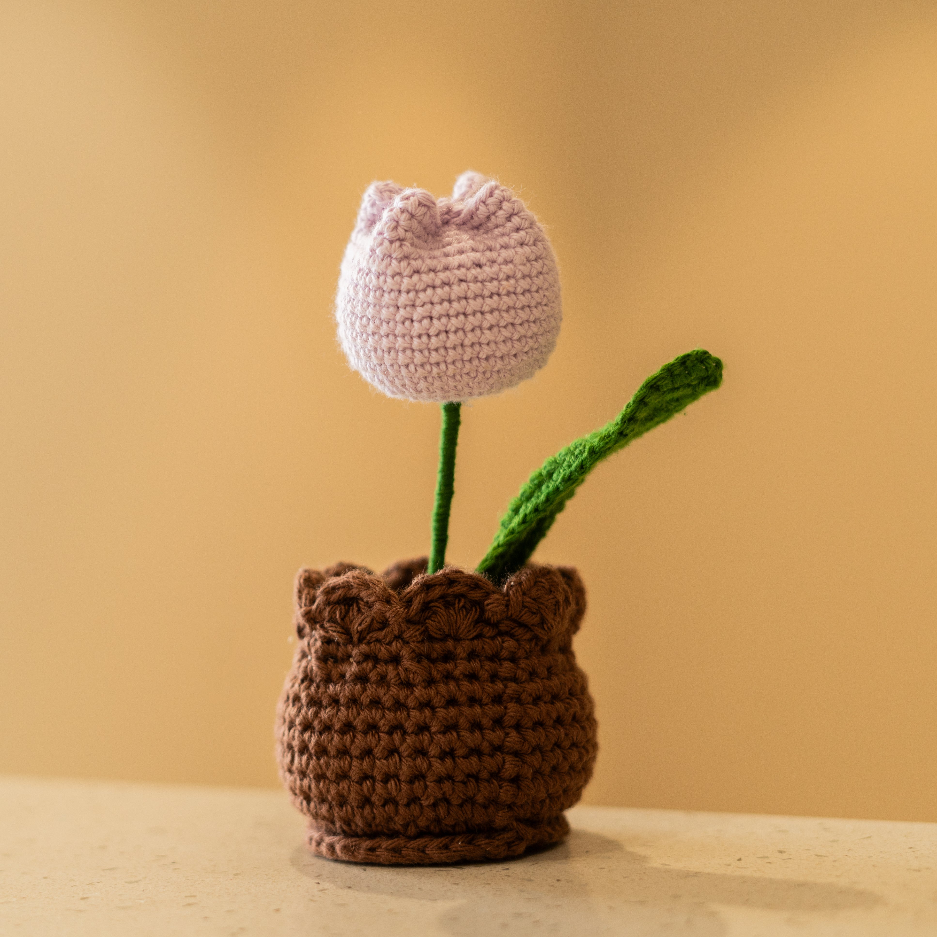 Crochet Tulip Pot