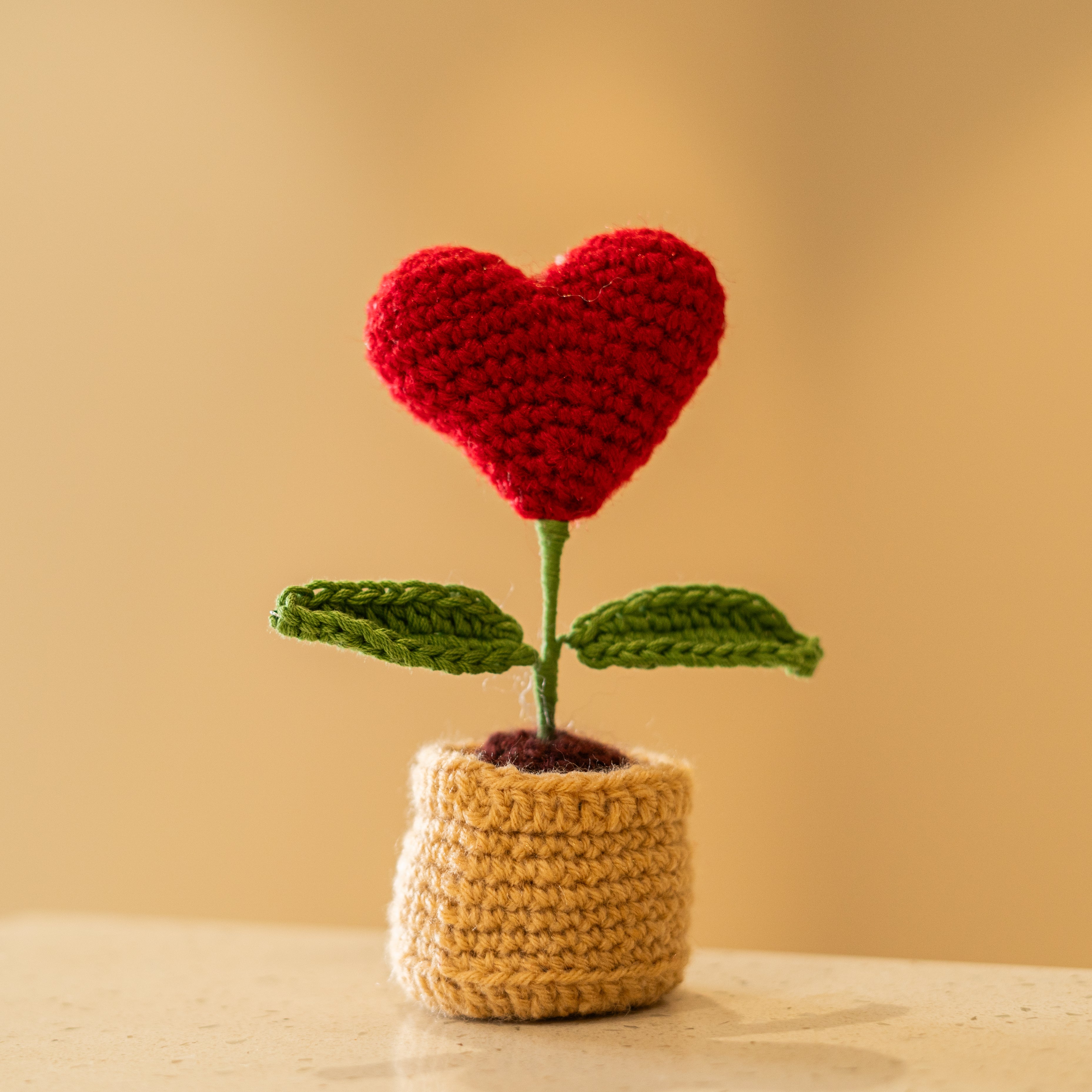 Crochet Heart Pot