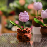 Crochet Tulip Pot