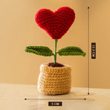 Crochet Heart Pot