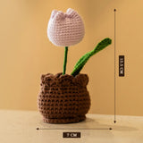 Crochet Tulip Pot