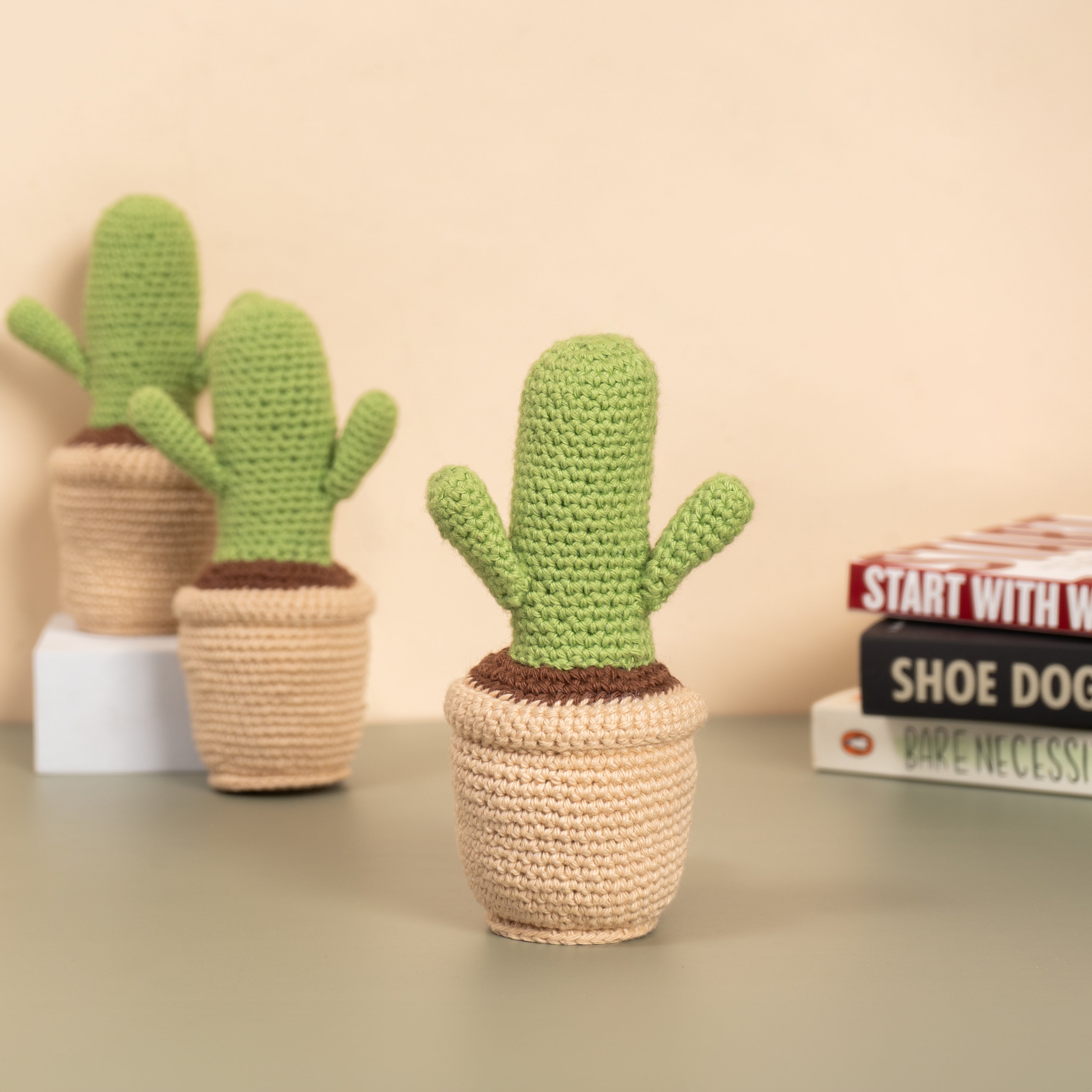 Crochet Cactus Pot